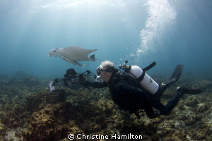 Shooting Mantas by Christine Hamilton 